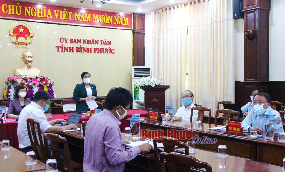 Phó bí thư Tỉnh ủy, Chủ tịch UBND tỉnh Trần Tuệ Hiền phát biểu chỉ đạo tại cuộc họp